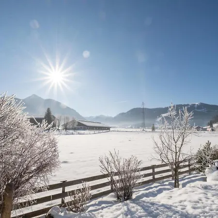 Siglavy Appartement Flachau